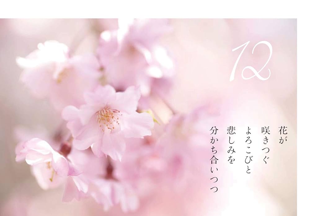 【たぁこ*さま】* vintage flower ❀ * 小さな 小さなお花たち 楽天市場】＼14%OFF&クーポンで更にお得／ 小皿セット 小花皿